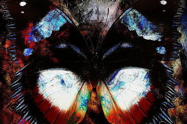 蝴蝶插图，混合介质，抽象颜色背景