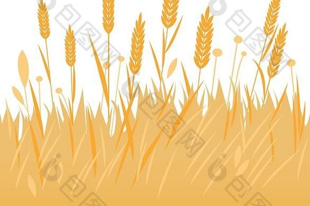 背景为小麦、大麦或黑麦的田地。
