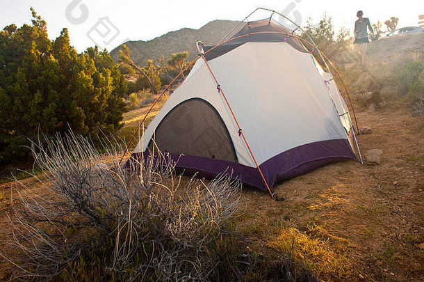 营地帐篷沙漠