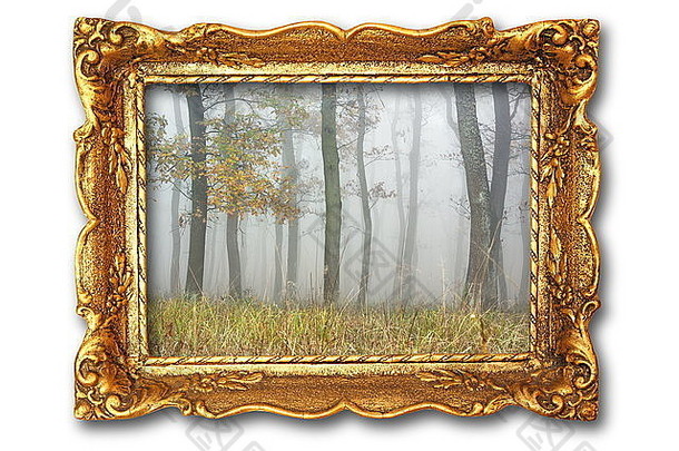 古老的画框上有雾蒙蒙的森林，隔着白色的阴影；我在框架内使用的图像也是o