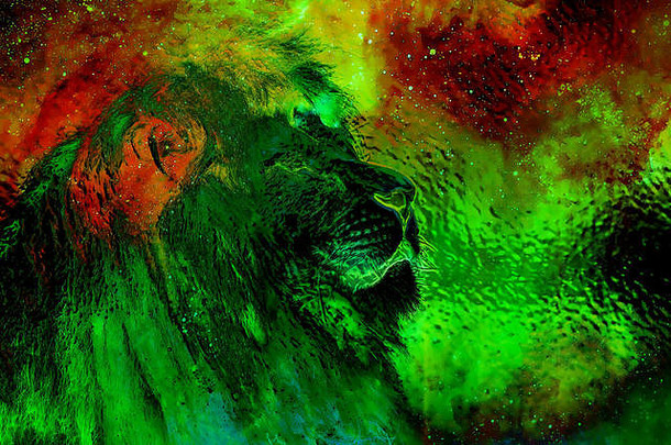 宇宙空间中的狮子。狮子照片、图形和玻璃效果。