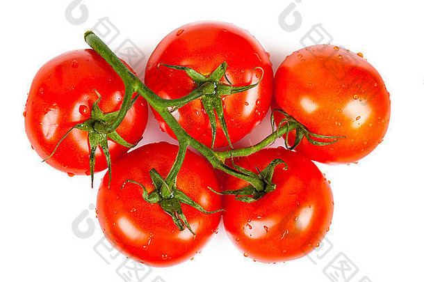 在白色背景上分离的一束成熟西红柿