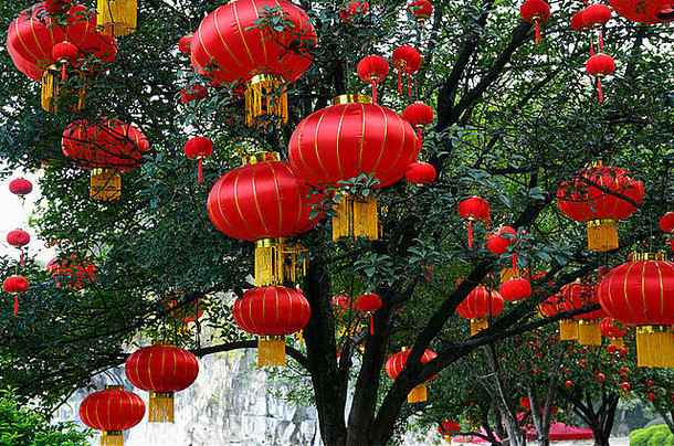 桂林漓江象鼻山公园树上的红色国庆灯笼