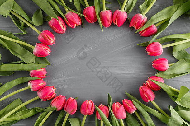 粉色清新的春天郁金香植物艺术花卉背景圆框花圈野花概念妇女节贺卡母亲节情人节灰色桌子。