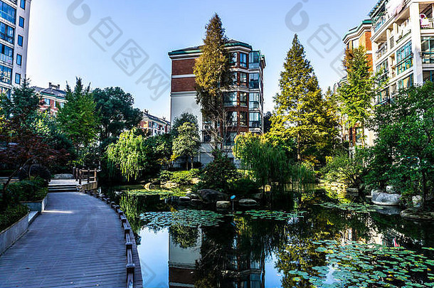 芜湖安徽中国水莉莉池塘散步树公寓建筑背景