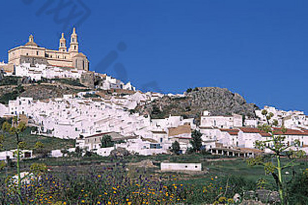 典型的白色城市景观国加的斯安达卢西亚西班牙