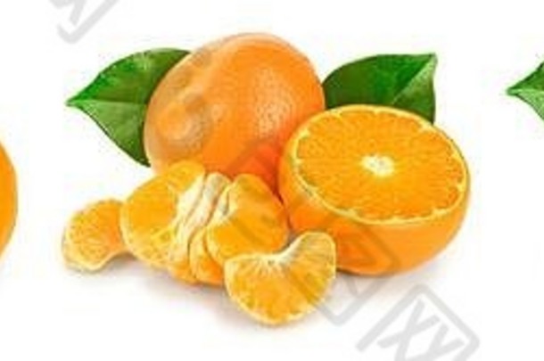 橘子或柑橘类水果，叶孤立于白色背景上。集合