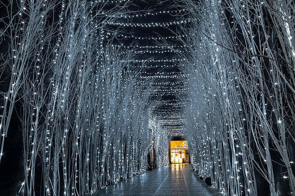 萨格勒布一条通道中的圣诞灯