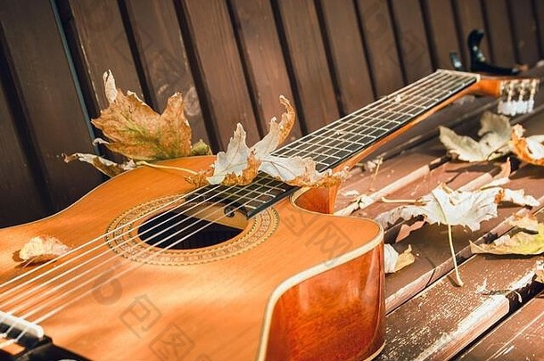 特写镜头视图片段声经典吉他秋天枫木叶木背景秋天生活音乐会概念