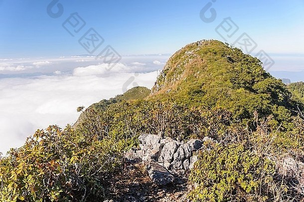 多隆江岛野生动物保护区完美的徒步旅行路线高达石灰岩山脉，海拔7300英尺。