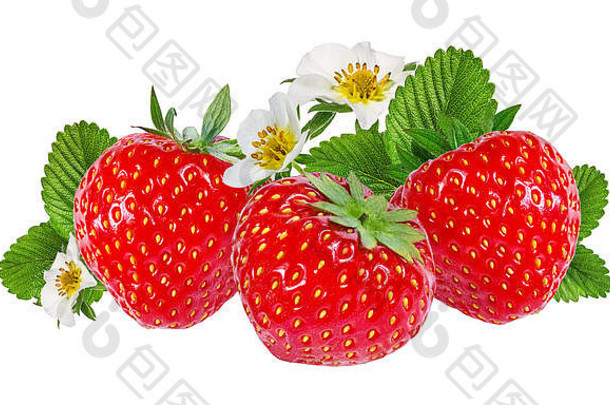 草莓花孤立的白色背景