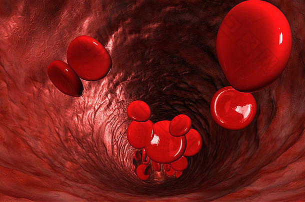 宏特写镜头血静脉红色的血细胞流动