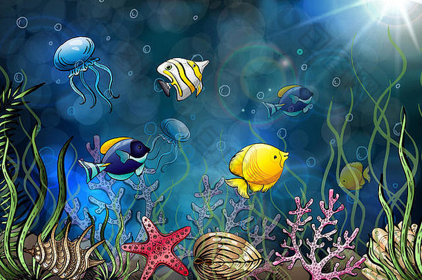 由贝壳、海星、水母组成。水下世界。海洋背景。