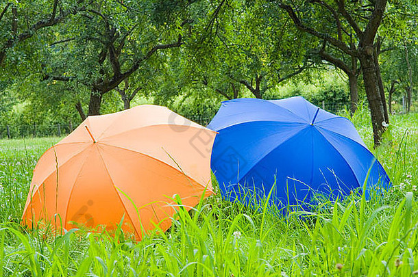 橙色和蓝色的伞在绿草的草地上