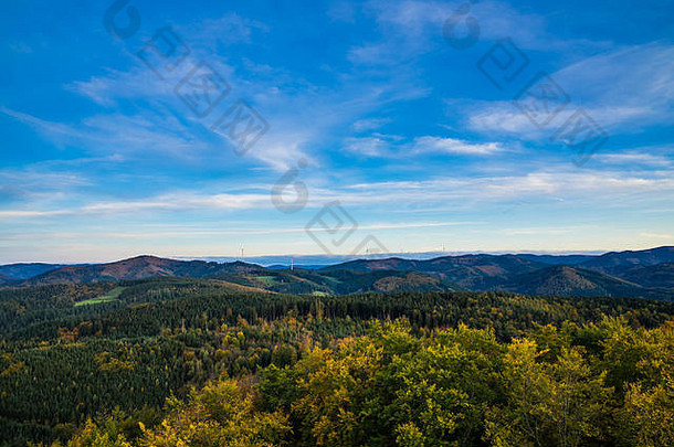 德国，无边无际的鸟瞰树梢上方的黑森林自然景观，在五彩缤纷的秋意中，在温暖的夕阳下，一片天堂