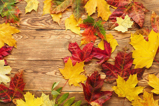 红色的黄色的枫木叶子木表格秋天季节自然框架背景复制空间