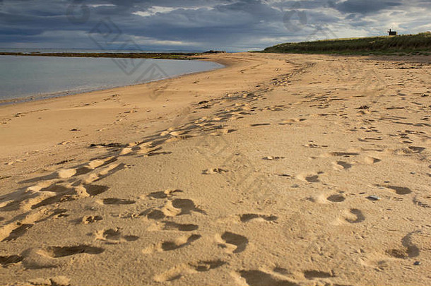苏格兰高地萨瑟兰一个阳光明媚的日子里，一片荒芜的沙滩。