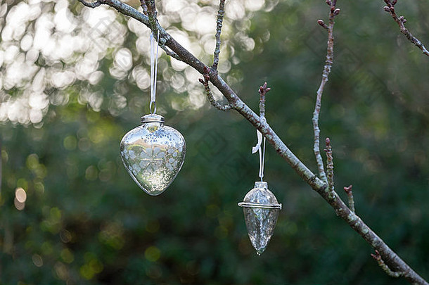 圣诞节玻璃装饰挂分支树回来照明引起的散景效果小玩意