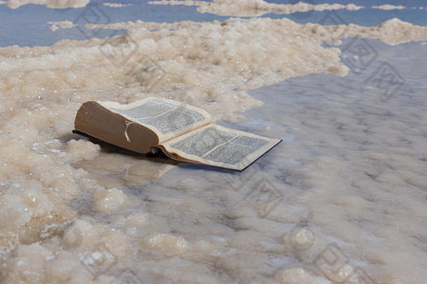 那本被遗忘的旧书上覆盖着死海的盐。以色列。