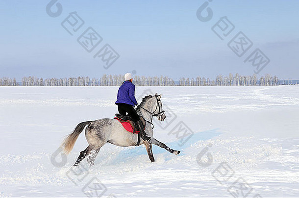 骑马术的女孩在冬天的田野里骑马