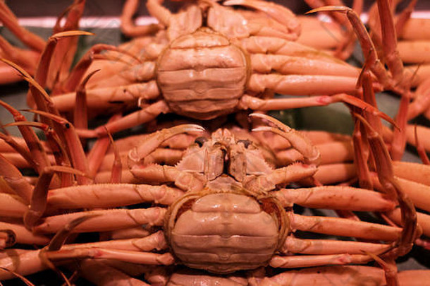 在日本金泽鱼市，新鲜的活螃蟹正趴着。