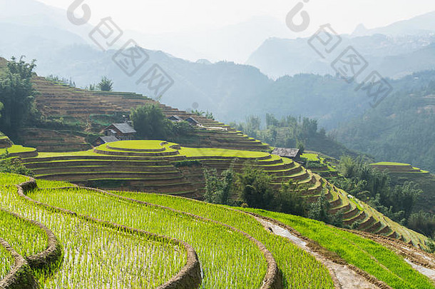 日落时分，越南老蔡省萨帕的水稻梯田和木屋。