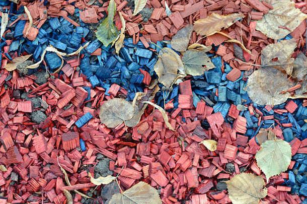 特写镜头彩色的覆盖物彩色的红色的蓝色的木芯片秋天叶子