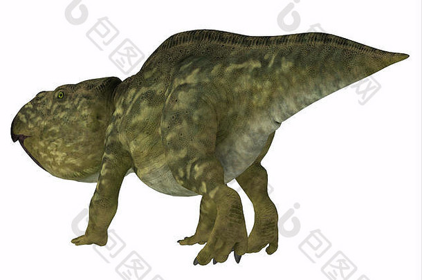 Udanoceratops是白垩纪生活在蒙古的一种Ceratopsian食草恐龙。