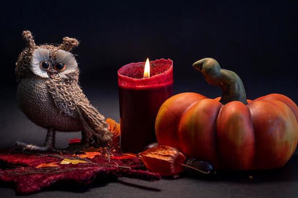 万圣节秋季装饰，南瓜，可爱的猫头鹰和红烛在树叶上，橙色在黑色背景灯光下