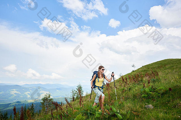 迷人的女游客徒步山路，走在青草丛生的小山上，背着背包，戴着太阳镜，用<strong>登山杖</strong>，享受夏日。户外活动、生活方式理念