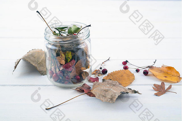 Jar玻璃干叶子红色的浆果白色木表格