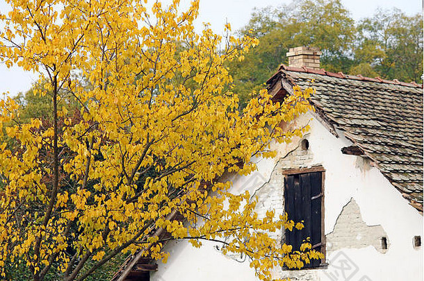 秋天树房子