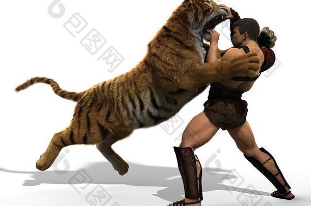 一个角斗士与隔离在白色背景上的老虎搏斗的3D插图