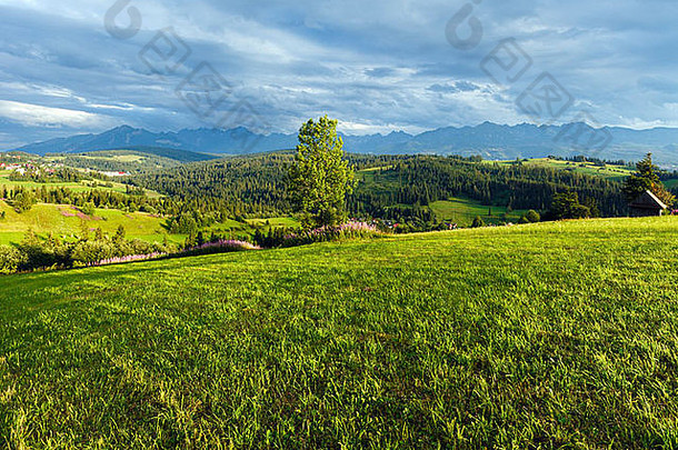 夏日傍晚的山村郊区，后面是塔特拉山脉（格里扎罗·戈尔尼，波兰）
