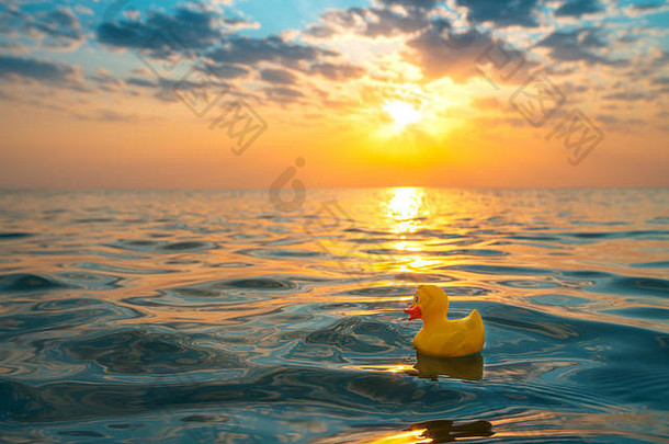 漂浮在海水中的黄色橡胶鸭子玩具。海滩上美丽的日出。