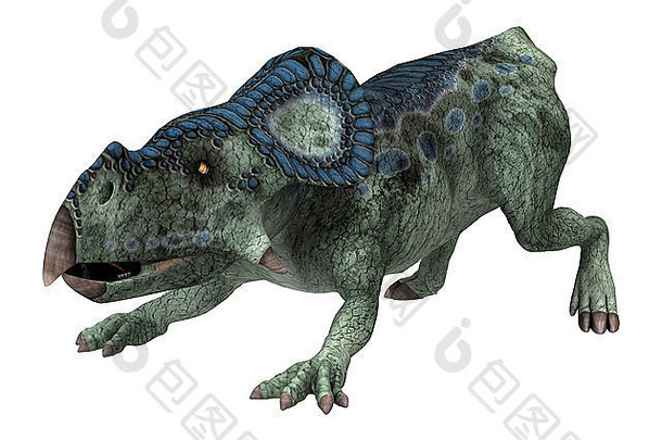 白色背景上分离的恐龙原角龙的3D数字渲染
