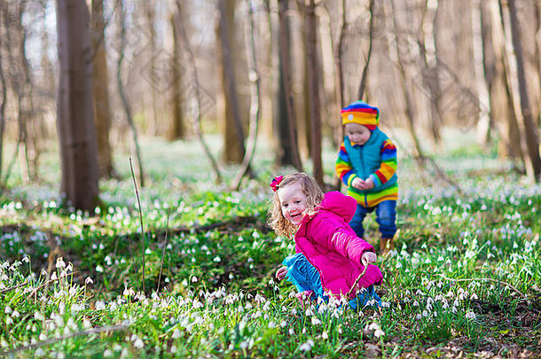两个孩子，一个可爱的蹒跚学步的小女孩，一个有趣的小男孩，一对兄妹，在阳光明媚的森林里玩耍，春天的雪花莲盛开