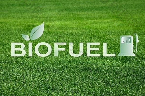 替代能源。创意拼贴画，背景为绿草上的“生物燃料”