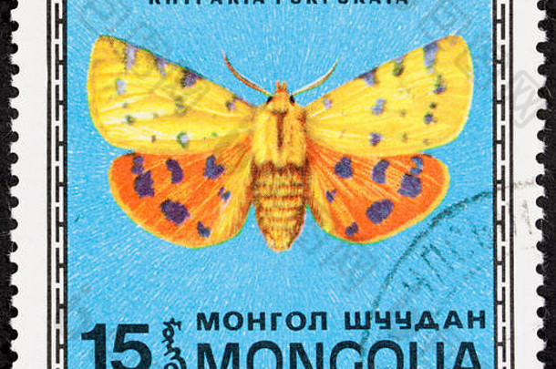 邮票蒙古照片美丽的单彩色的蝴蝶纸