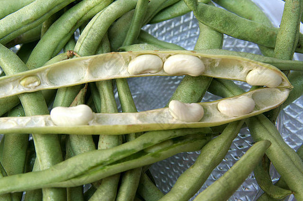 白色嫩豆种子，长有绿色豆荚