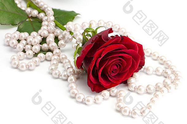 玫瑰珠子孤立的白色背景