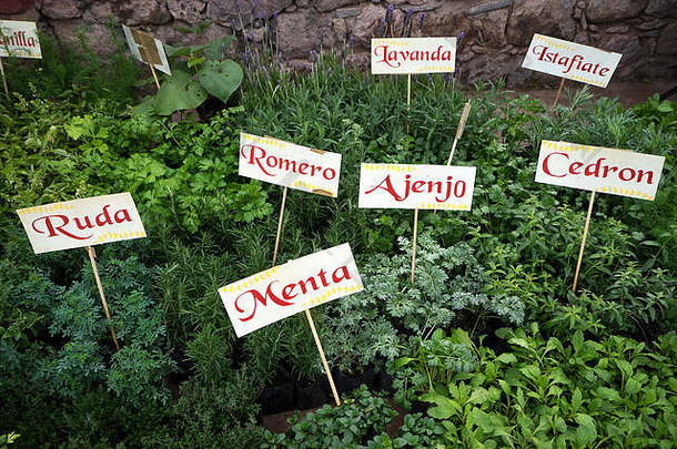 墨西哥圣米格尔·德·阿连德植物博览会上贴上标签的草药