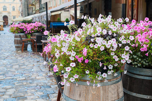 利沃夫大街上的装饰花咖啡馆