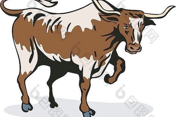 一头狂怒的公牛在孤立的白色背景上冲锋攻击的插图