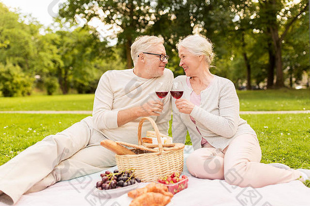 快乐的老年夫妇在夏季公园野餐