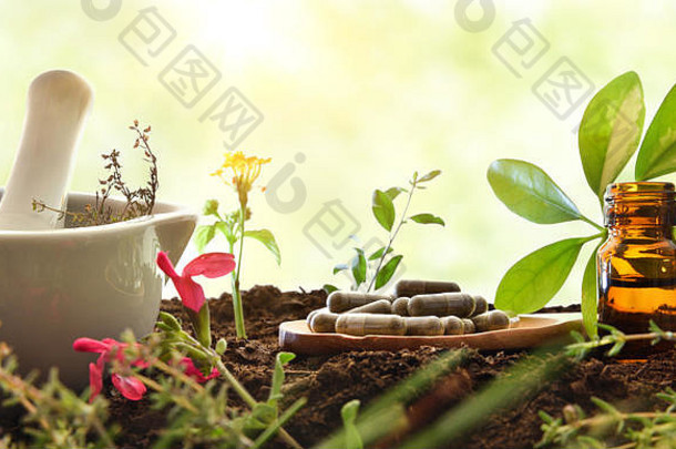 用研钵、带胶囊的木勺、滴管瓶和土壤上的植物精制天然植物药。替代天然药物概念