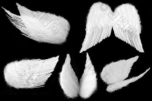 角白色《卫报》天使翅膀孤立的黑色的很容易提取
