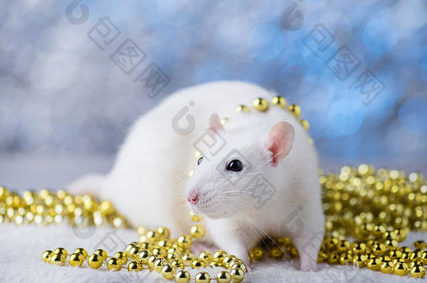 快乐一年!象征一年白色金属银老鼠可爱的老鼠圣诞节装饰