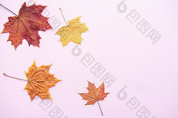 秋季作文。粉红色背景上的干叶。秋天，秋天的概念。平面布局、俯视图、空间