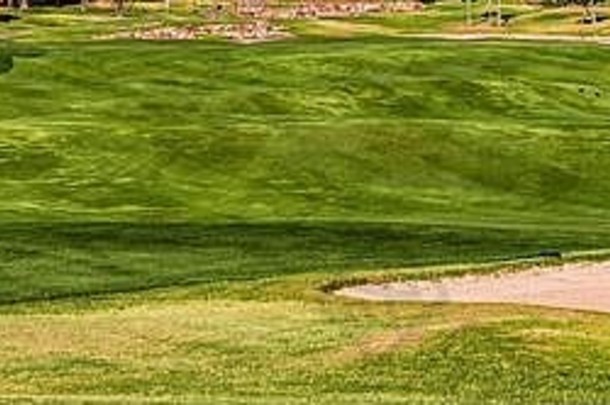 高尔夫球绿色球道加州